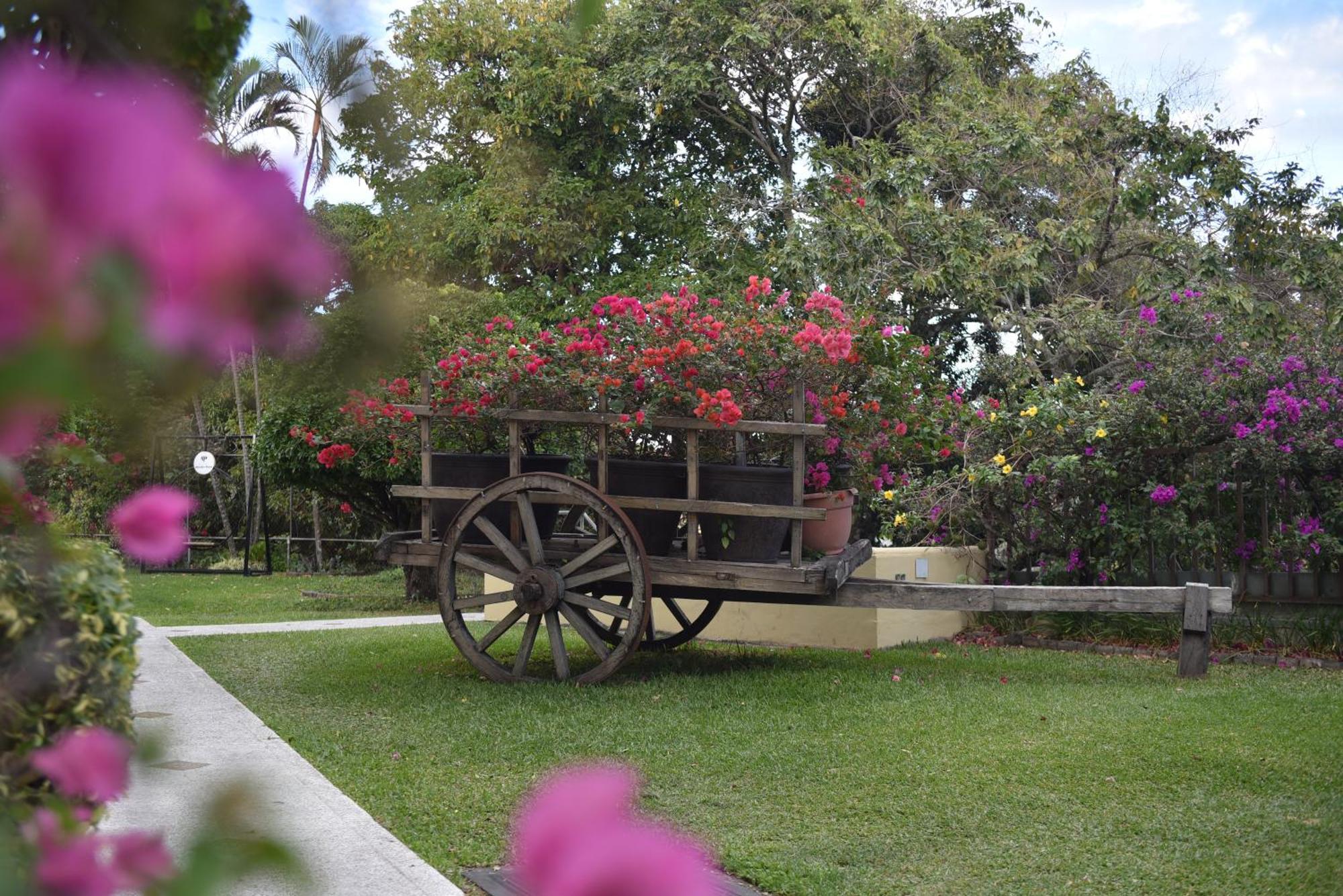 Hotel Mirador Plaza San Salvador Buitenkant foto